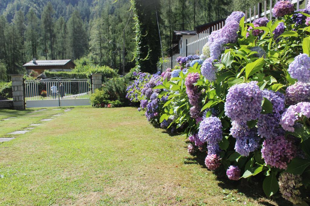 Villa Egle Antronapiana Exterior photo